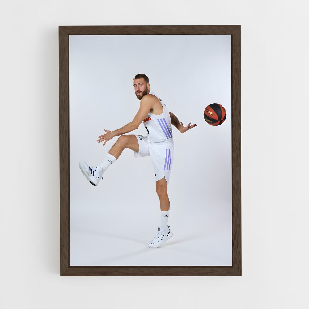 Poster Sergio Rodriguez – affiche Basketball (vue 5)